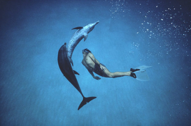 Dolphin-Boy